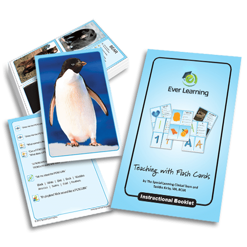 Teaching Common Animals Building Early Language with Flashcards Ever Learning